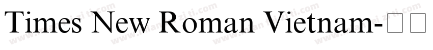 Times New Roman Vietnam字体转换